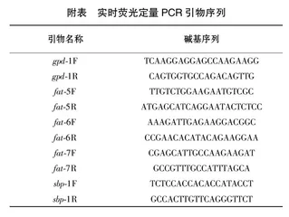 外源添加L-苹果酸降低秀丽隐杆线虫体内脂肪含量