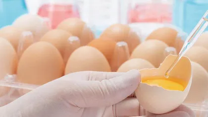 多维融合视域下职技高师食品科学与工程类课程思政教学模式研究