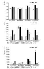 石斛基因组DNA提取方法比较研究