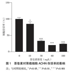 茶皂素对肾癌细胞ACHN凋亡与迁移的机制研究