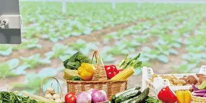 直播带货中食品安全的法律保护