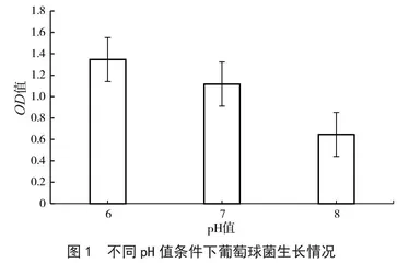 新疆伊犁传统熏马肠中葡萄球菌的分离及生长特性研究