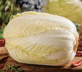 白菜暖冬来
