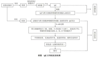 食源性腹泻产生机理研究进展