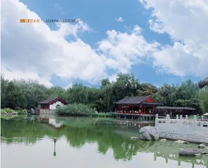 《红楼梦》中的宝藏食疗方