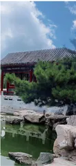 《红楼梦》中的宝藏食疗方1