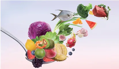 三级预防体系下的老年人营养膳食指南2