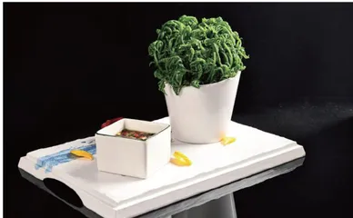 走,坐上高铁去荔波品味美食 3