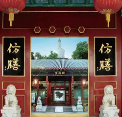 传承不守旧，创新不忘本  老字号仿膳饭庄持续焕新