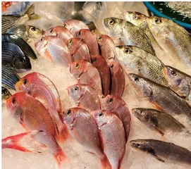 潮汕饮食三大关键词 