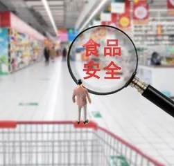 AI驱动下食品安全检测综合实验数字化课程建设的应用思考