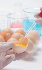 食品安全与监管课程思政教学模式改革探索