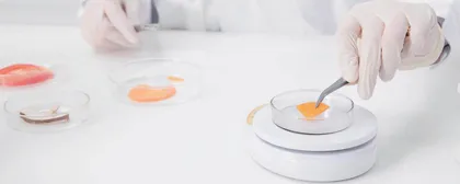 食品中重金属检测技术分析及应用研究