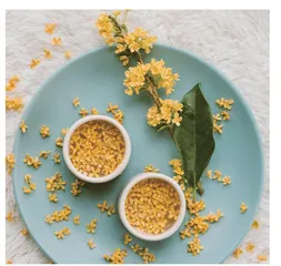 沁人心脾之桂花