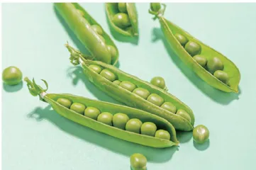 又闻青青豆英香