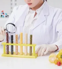 食品检验中食品安全标准存在问题的探究