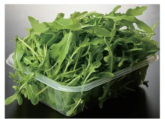 又是一年荠菜香