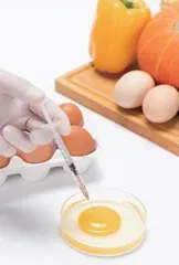 简析影响食品质量安全管理的主要因素及其应对策略