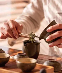 茶杯里的人生哲学