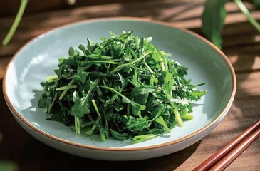 春来荠美忽忘归