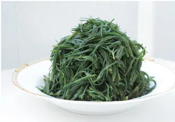 春日宜食的14种养生野菜4