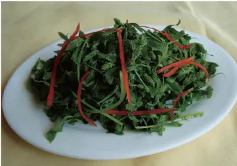 春日宜食的14种养生野菜5