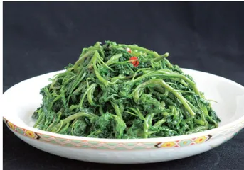 春日宜食的14种养生野菜6