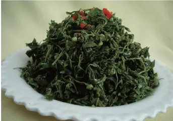春日宜食的14种养生野菜13