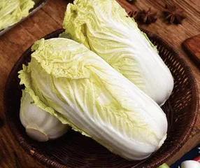 美味的白菜
