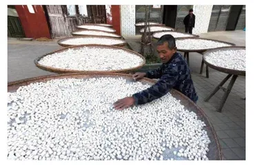 难忘凉亭雪枣的香甜酥脆