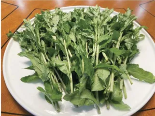 雨生百谷，药食同源话养生4