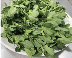 雨生百谷，药食同源话养生8