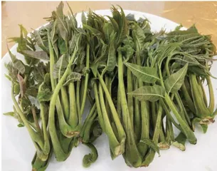 雨生百谷，药食同源话养生10