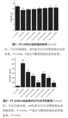 西澳菲斯特农场赤桉树蜂蜜对血虚证模型小鼠的影响