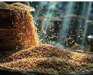 推进粮食购销领域信息化建设 不断提高智能化穿透式监管水平