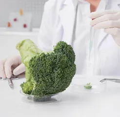 利用GB 5009.182-2017第一法检测食品中的铝