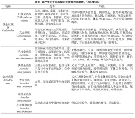 金丝燕物种及燕窝产区浅析