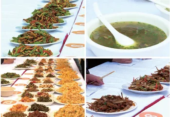 望江炒饭:雷池大地上的烟火味道2