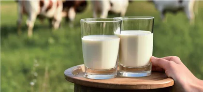 加强国产菌剂研发推动乳业高质量发展