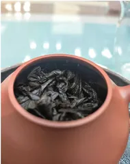 一饮倾心醉新茶1