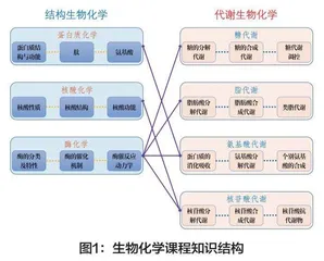 地方高校生物化学混合式一流课程建设探索与实践