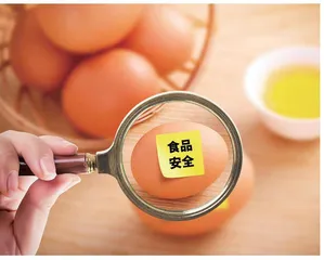 规范自查行为落实食品安全主体责任