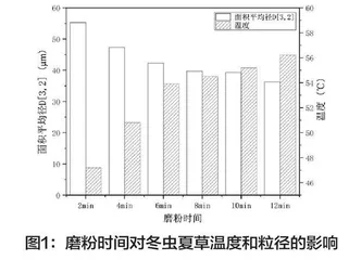 冬虫夏草磨粉过筛对泡水成分释放的影响