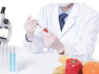 “一链两课三梯度”  研究生科研育人模式研究