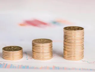 南方黑芝麻多次跨界未果 回归主业后能否逆风翻盘