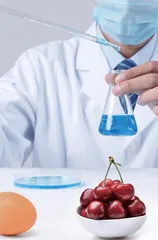 现代化背景下混合式教学在食品化学实验课程改革中的应用
