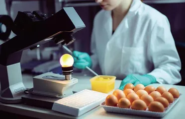 食品中重金属检测技术质量控制的优化路径