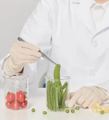 提高食品安全检验检测质量的意义与路径