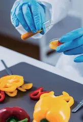 新工科背景下人工智能技术在食品化学课程教学中的实践与探索