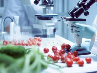 研究性教学与翻转课堂联合教学法在功能食品学课程本科教学中的应用